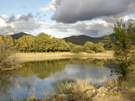 Laguna del Salmoral