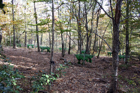 Trampas de semilla
©Equipo de la Reserva de la Biosfera Sierra del Rincón