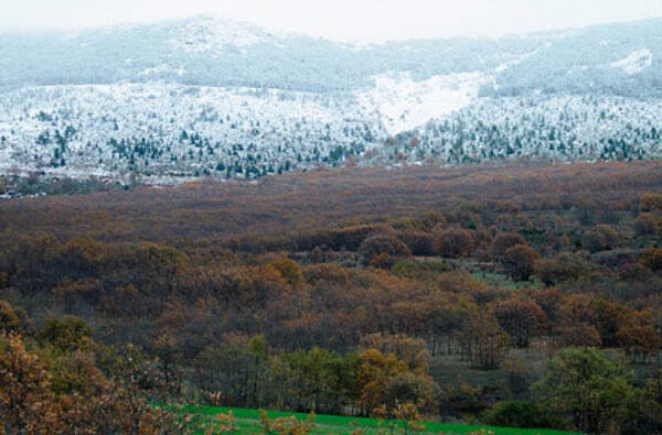 Montes de la Reserva de la Biosfera Sierra de Rincón