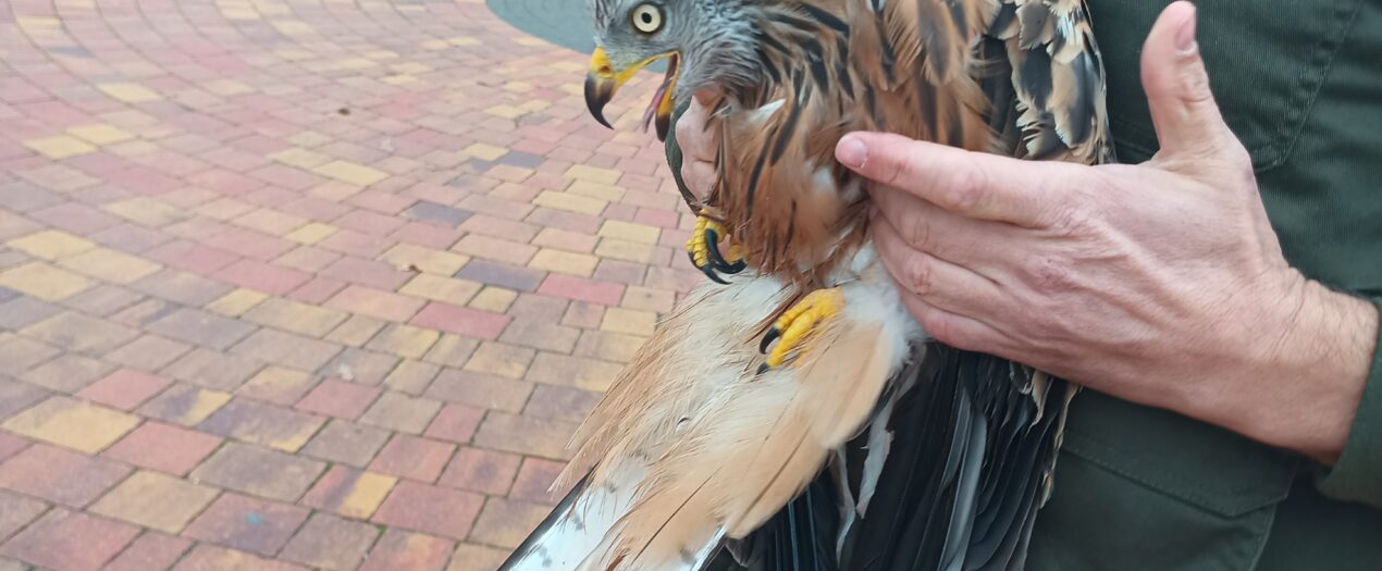 IMG_20251205_124839_999