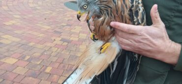 IMG_20251205_124839_999