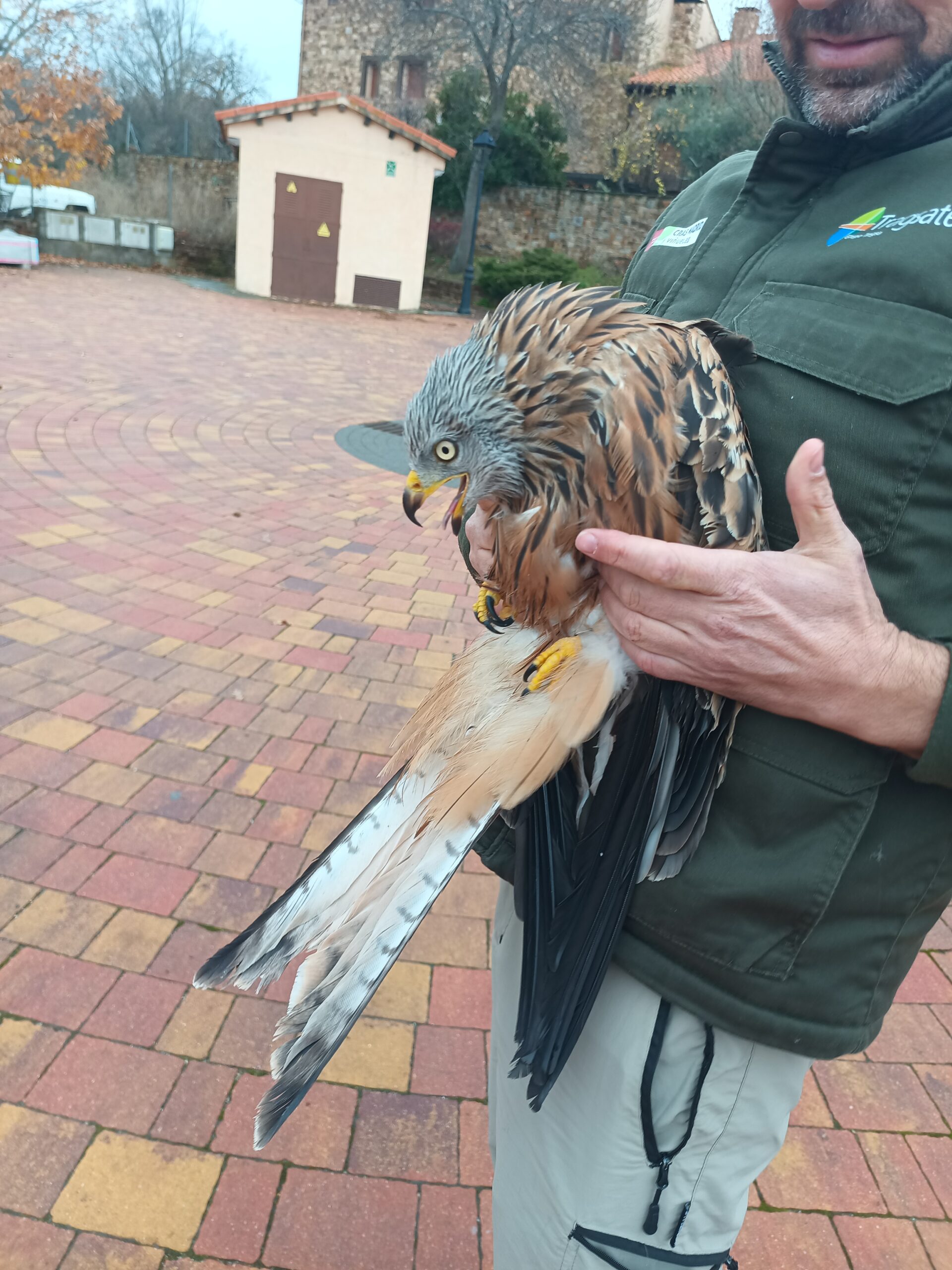 IMG_20251205_124839_999