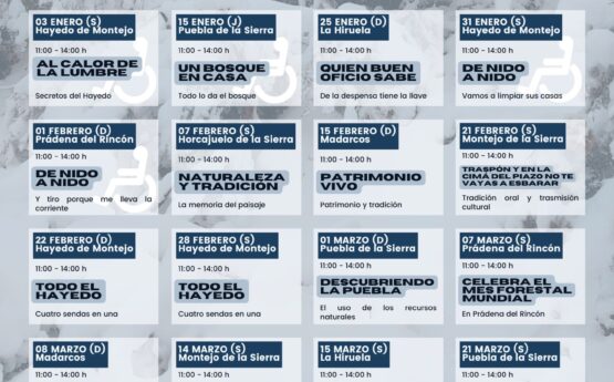 Actividades temáticas invierno 2026