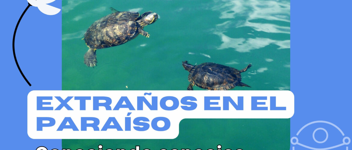 Actividad Extraños en el paraíso, Cea Hayedo de Montejo