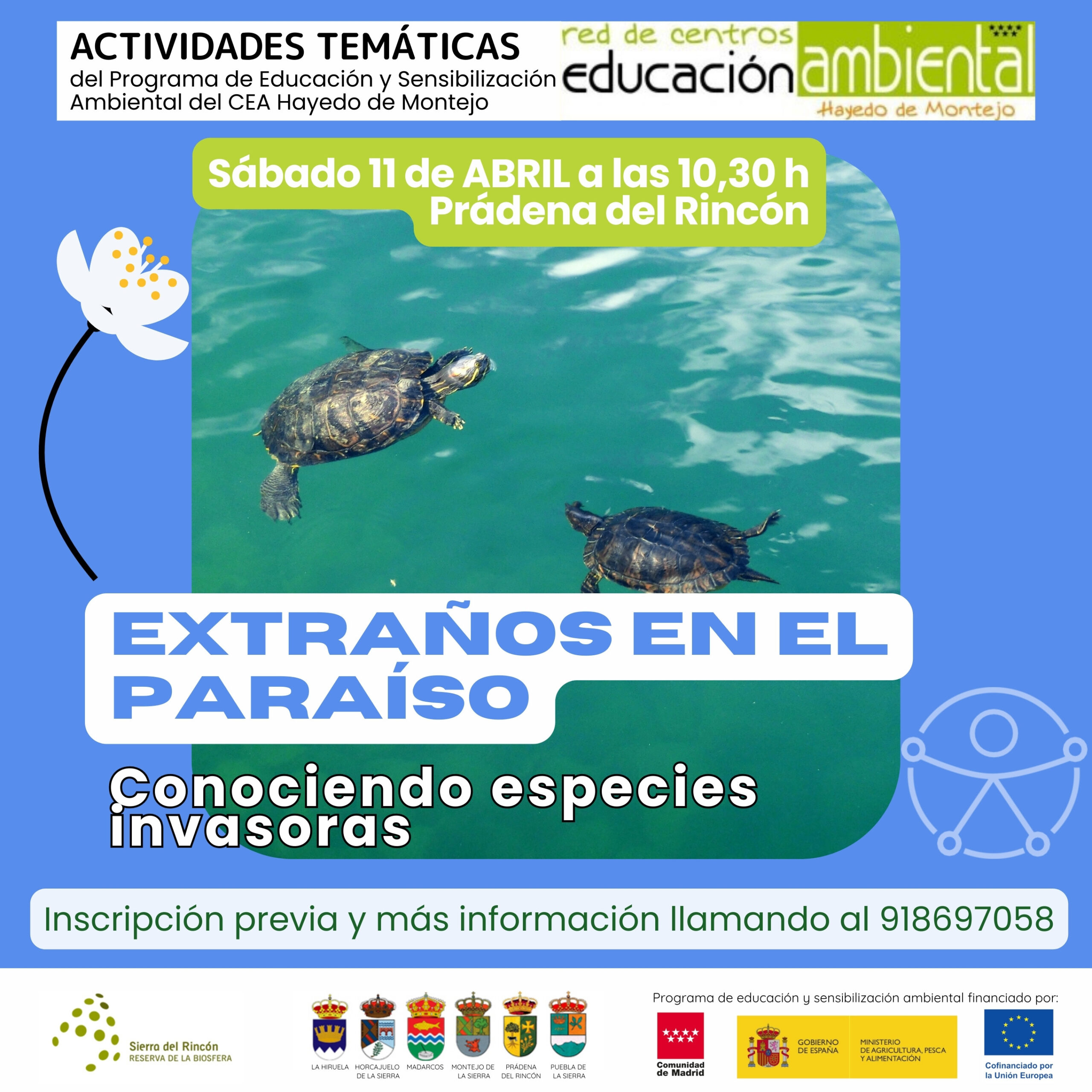 Actividad Extraños en el paraíso, Cea Hayedo de Montejo