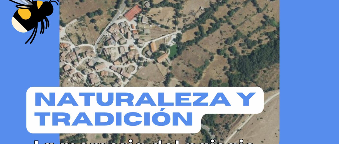 Actividad trimestral CEA hayedo de Montejo, Madarcos