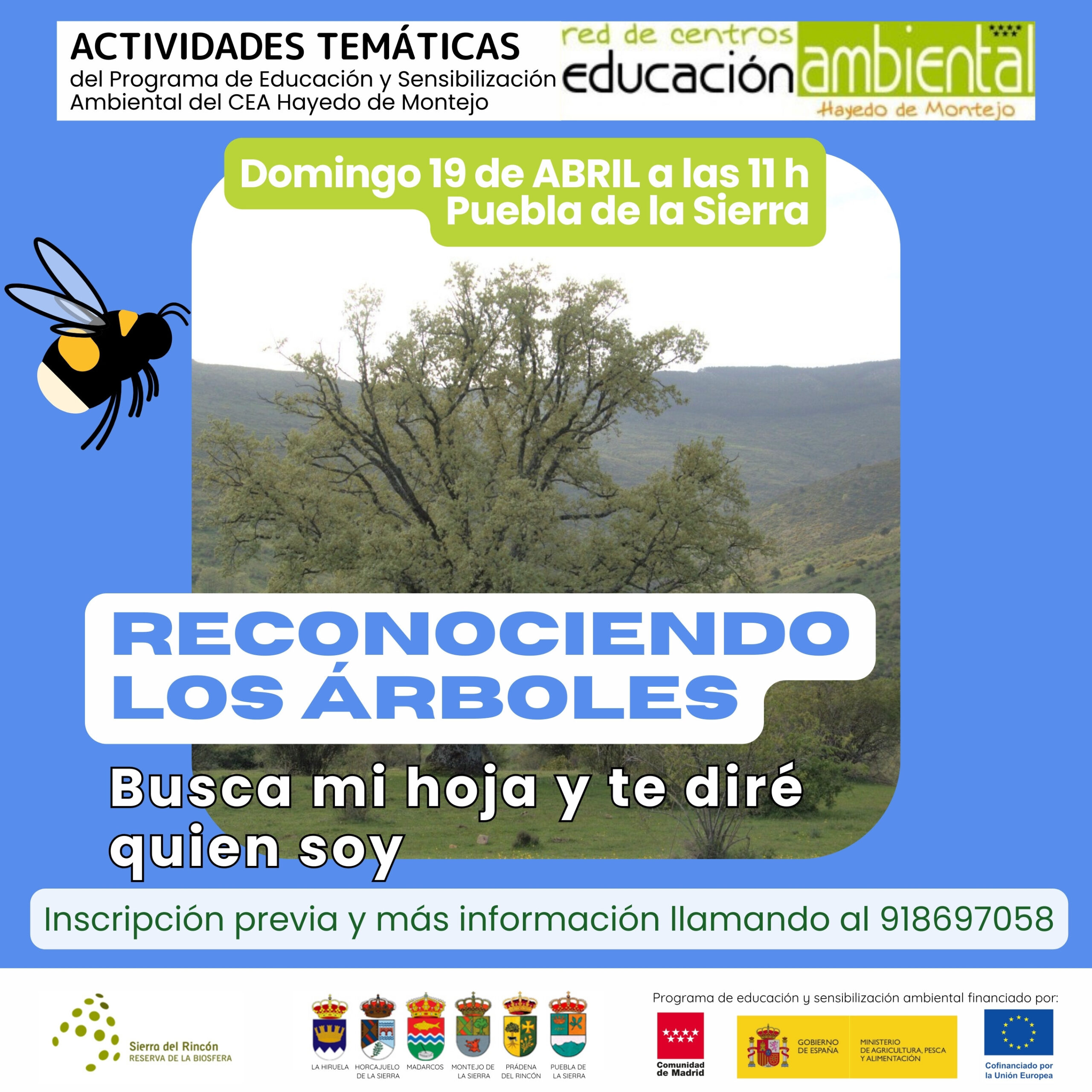 Actividad temática, reconociendo los árboles, Puebla de la Sierra