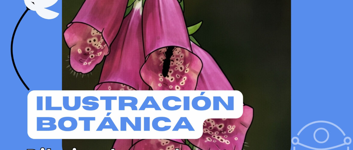 Actividad temática CEA Hayedo de Montejo