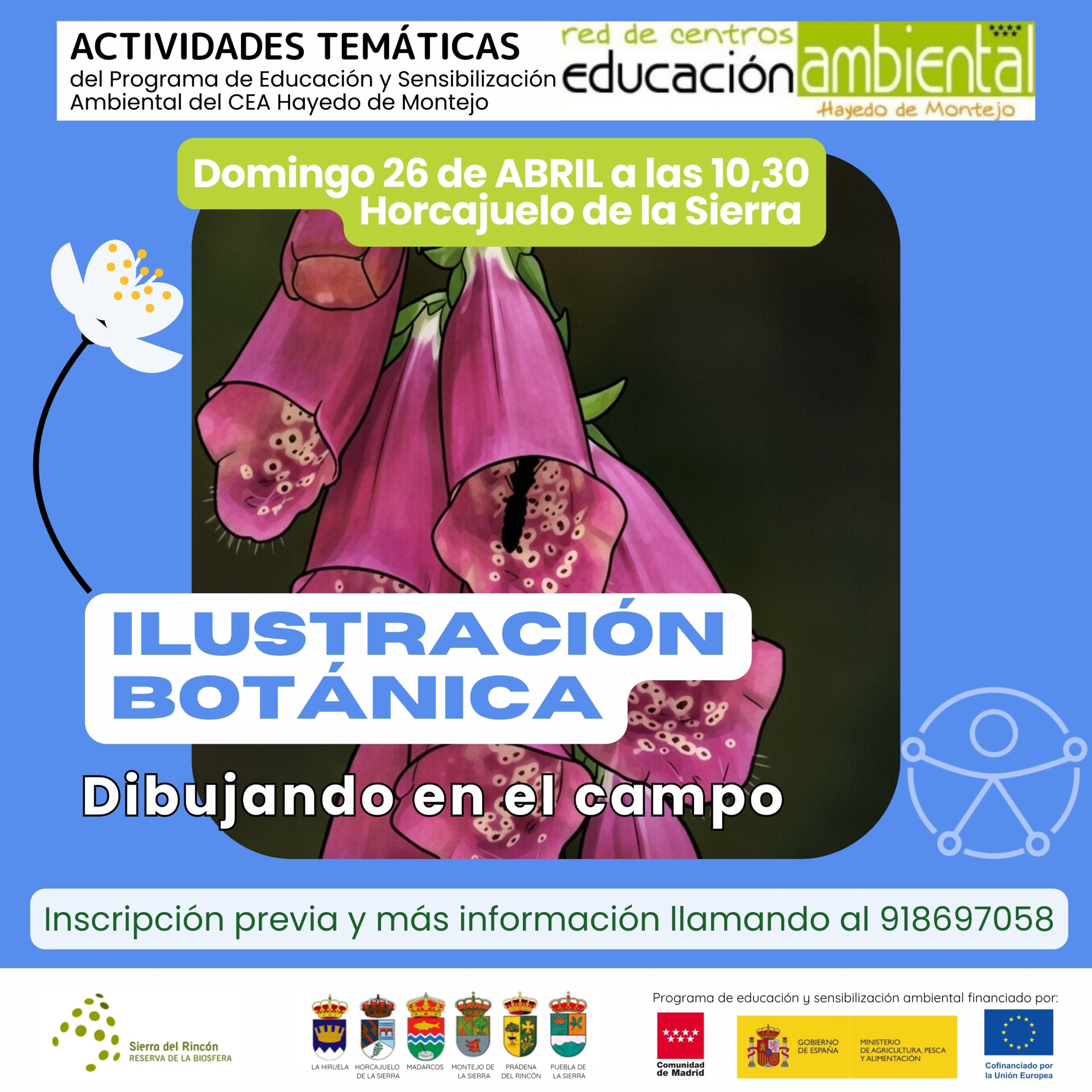 Actividad temática CEA Hayedo de Montejo