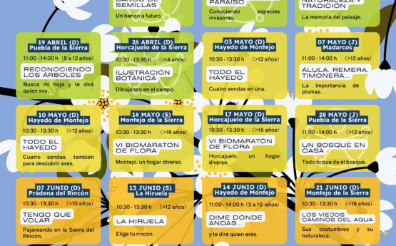 Actividades temáticas primavera 2026