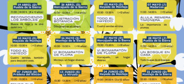 Temáticas Primavera 2026