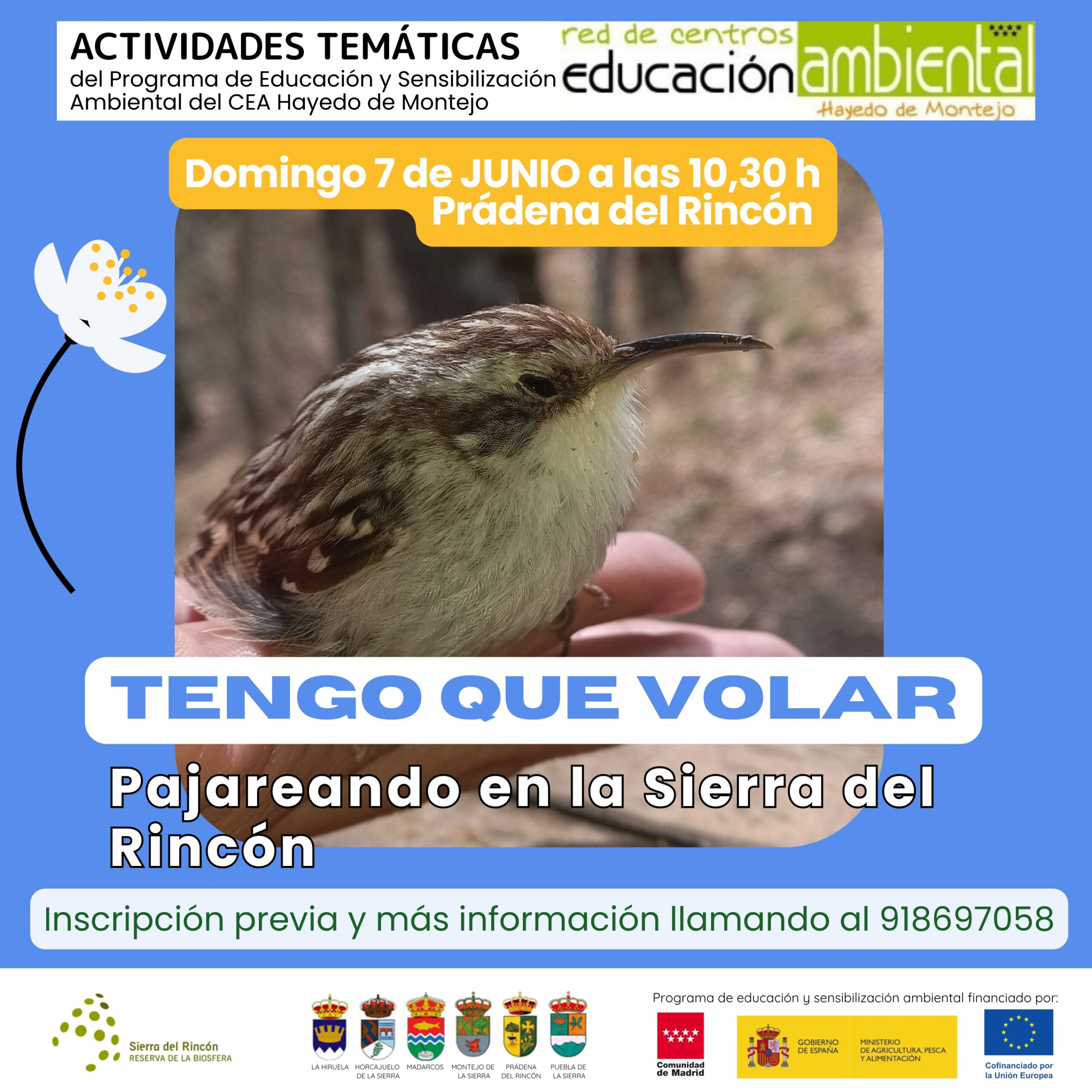 Actividad temática Tengo que volar. CEA Hayedo de Montejo