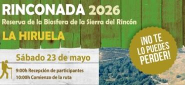 Rinconada2026P