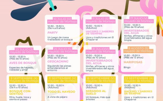Actividades temáticas verano 2026