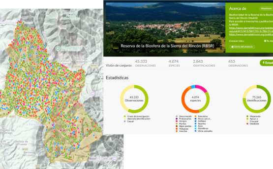 Inaturalist