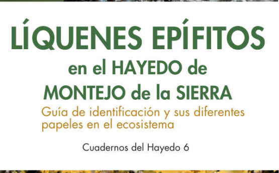 LÍQUENES EPÍFITOS EN EL HAYEDO DE MONTEJO DE LA SIERRA. GUÍA DE IDENTIFICACIÓN Y SUS DIFERENTES PAPELES EN EL ECOSISTEMA