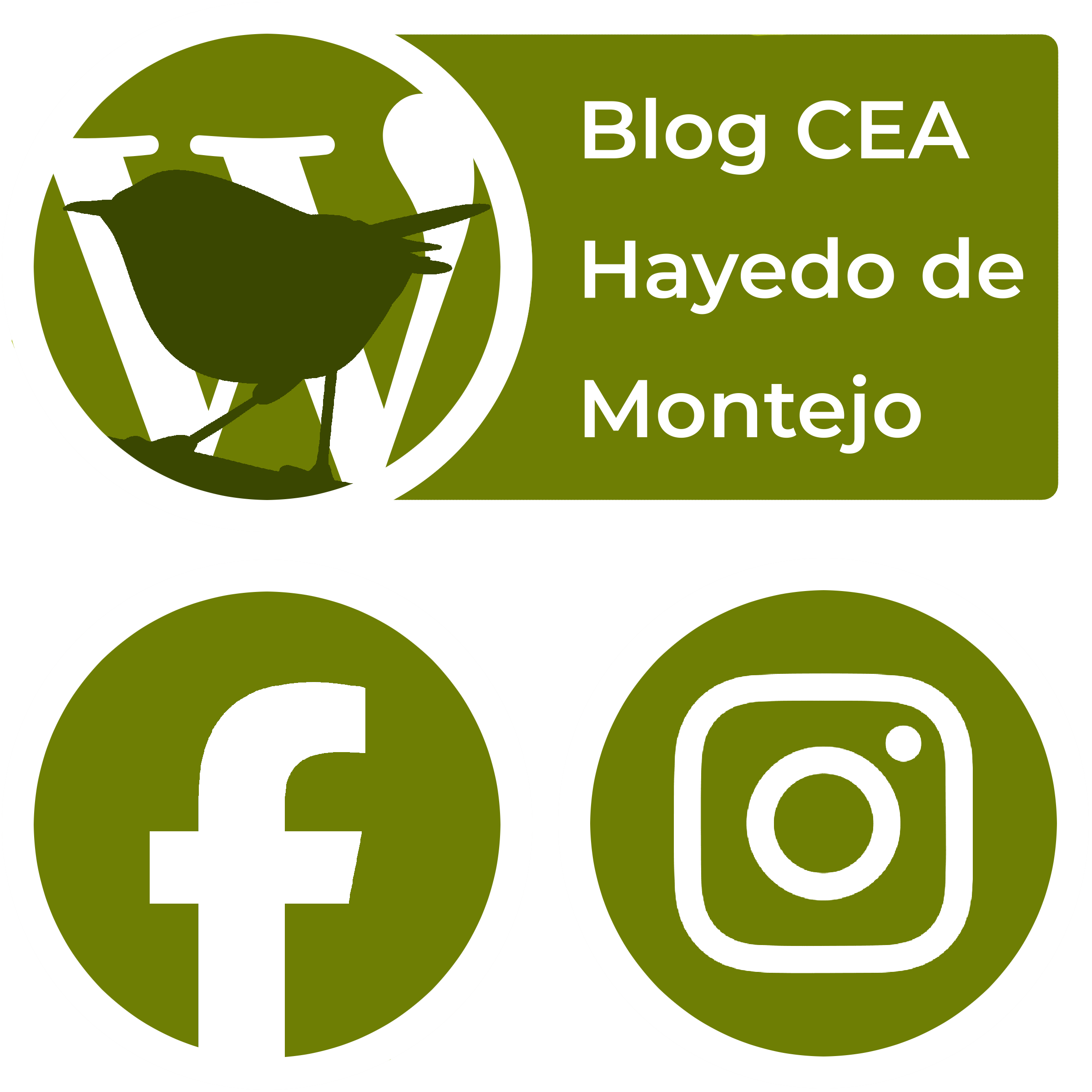 Blog CEA Hayedo de Montejo y redes sociales